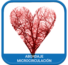 Microcirculacion